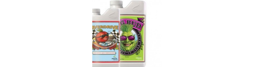Boostery | Centrum Growbox